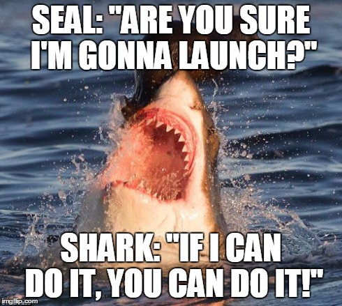 Travelonshark Meme | SEAL: "ARE YOU SURE I'M GONNA LAUNCH?" SHARK: "IF I CAN DO IT, YOU CAN DO IT!" | image tagged in memes,travelonshark | made w/ Imgflip meme maker