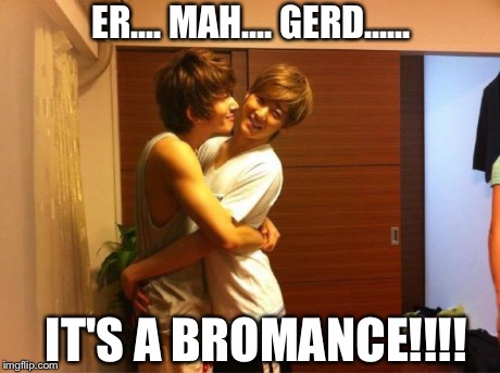 ER.... MAH.... GERD...... IT'S A BROMANCE!!!! | image tagged in bromance | made w/ Imgflip meme maker