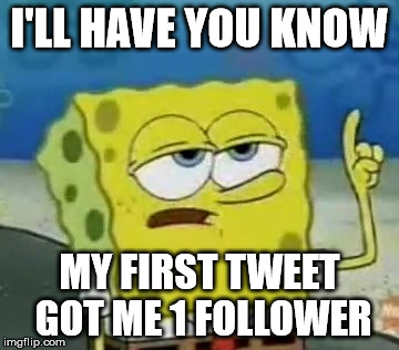 I'll Have You Know Spongebob | I'LL HAVE YOU KNOW MY FIRST TWEET GOT ME 1 FOLLOWER | image tagged in memes,ill have you know spongebob | made w/ Imgflip meme maker