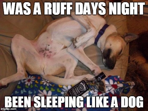 WAS A RUFF DAYS NIGHT BEEN SLEEPING LIKE A DOG | image tagged in drunk dog | made w/ Imgflip meme maker