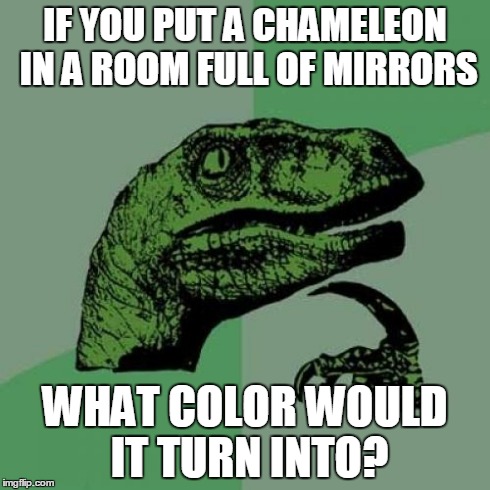 Philosoraptor | IF YOU PUT A CHAMELEON IN A ROOM FULL OF MIRRORS WHAT COLOR WOULD IT TURN INTO? | image tagged in memes,philosoraptor | made w/ Imgflip meme maker