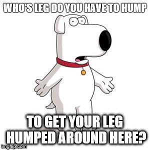 Family Guy Brian | WHO'S LEG DO YOU HAVE TO HUMP TO GET YOUR LEG HUMPED AROUND HERE? | image tagged in memes,family guy brian | made w/ Imgflip meme maker