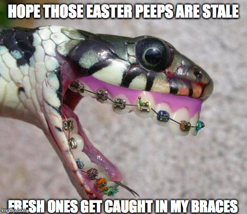 Hope those Easter Peeps are stale | HOPE THOSE EASTER PEEPS ARE STALE FRESH ONES GET CAUGHT IN MY BRACES | image tagged in rattle snake,braces | made w/ Imgflip meme maker