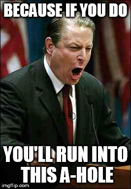 Gore | BECAUSE IF YOU DO YOU'LL RUN INTO THIS A-HOLE | image tagged in gore | made w/ Imgflip meme maker