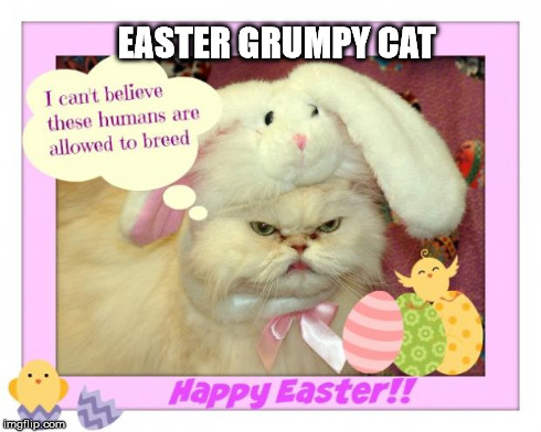 EASTER GRUMPY CAT | image tagged in easter grumpy cat | made w/ Imgflip meme maker