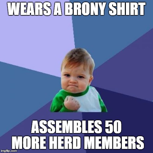 Success Kid | WEARS A BRONY SHIRT ASSEMBLES 50 MORE HERD MEMBERS | image tagged in memes,success kid | made w/ Imgflip meme maker