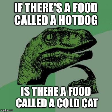 Philosoraptor | IF THERE'S A FOOD CALLED A HOTDOG IS THERE A FOOD CALLED A COLD CAT | image tagged in memes,philosoraptor | made w/ Imgflip meme maker