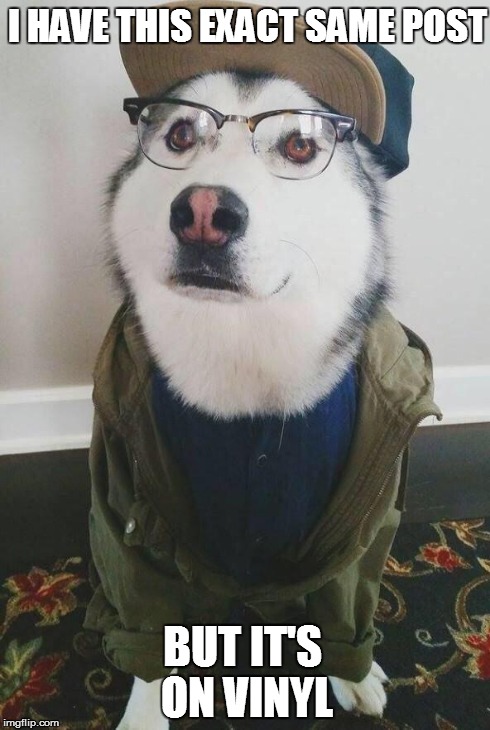 Hipster Husky | I HAVE THIS EXACT SAME POST BUT IT'S ON VINYL | image tagged in hipster husky,hipster burn,burn,face palm,funny,memes | made w/ Imgflip meme maker