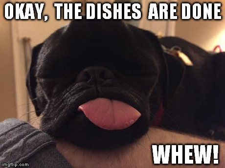Beanz | OKAY,  THE DISHES  ARE DONE WHEW! | image tagged in beanz | made w/ Imgflip meme maker