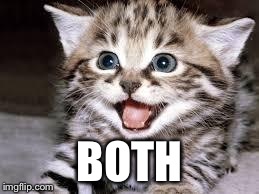 Both cat | BOTH | image tagged in both cat | made w/ Imgflip meme maker