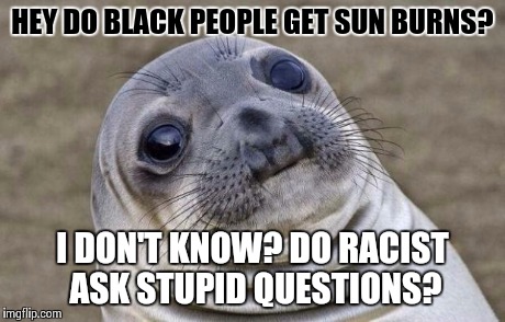 Awkward Moment Sealion Meme | HEY DO BLACK PEOPLE GET SUN BURNS? I DON'T KNOW? DO RACIST ASK STUPID QUESTIONS? | image tagged in memes,awkward moment sealion | made w/ Imgflip meme maker