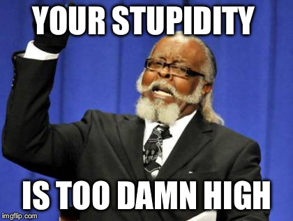 YOUR STUPIDITY IS TOO DAMN HIGH | image tagged in memes,too damn high | made w/ Imgflip meme maker