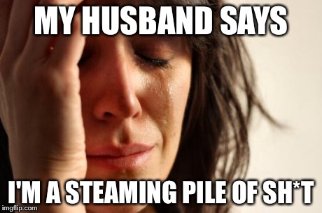 First World Problems Meme | MY HUSBAND SAYS I'M A STEAMING PILE OF SH*T | image tagged in memes,first world problems | made w/ Imgflip meme maker