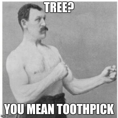 Overly Manly Man | TREE? YOU MEAN TOOTHPICK | image tagged in memes,overly manly man | made w/ Imgflip meme maker