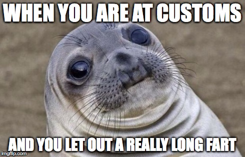 Awkward Moment Sealion | WHEN YOU ARE AT CUSTOMS AND YOU LET OUT A REALLY LONG FART | image tagged in memes,awkward moment sealion | made w/ Imgflip meme maker