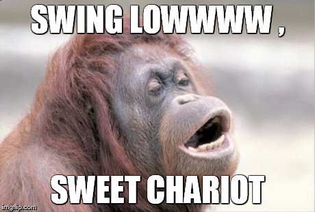 Monkey OOH | SWING LOWWWW , SWEET CHARIOT | image tagged in memes,monkey ooh | made w/ Imgflip meme maker