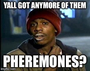 Y'all Got Any More Of That | YALL GOT ANYMORE OF THEM PHEREMONES? | image tagged in memes,yall got any more of,AdviceAnimals | made w/ Imgflip meme maker