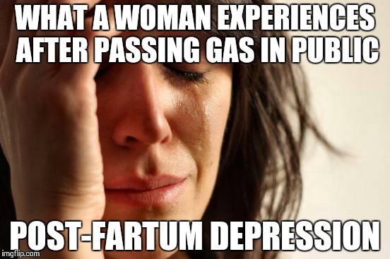 First World Problems Meme | WHAT A WOMAN EXPERIENCES AFTER PASSING GAS IN PUBLIC POST-FARTUM DEPRESSION | image tagged in memes,first world problems | made w/ Imgflip meme maker