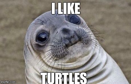 Awkward Moment Sealion | I LIKE TURTLES | image tagged in memes,awkward moment sealion | made w/ Imgflip meme maker