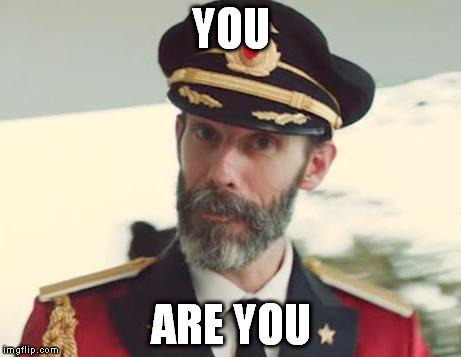 Obvious Captain | YOU ARE YOU | image tagged in captain obvious,you | made w/ Imgflip meme maker