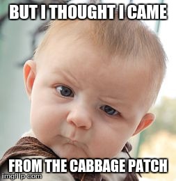 I came from your WHERE?! | BUT I THOUGHT I CAME FROM THE CABBAGE PATCH | image tagged in memes,skeptical baby,cabbage patch | made w/ Imgflip meme maker