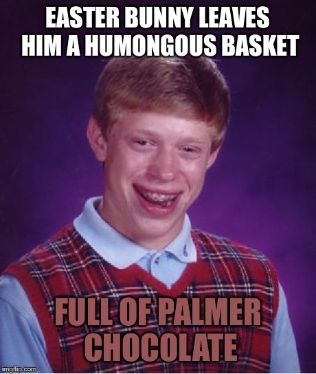 Bad Luck Brian Meme | EASTER BUNNY LEAVES HIM A HUMONGOUS BASKET FULL OF PALMER CHOCOLATE | image tagged in memes,bad luck brian | made w/ Imgflip meme maker