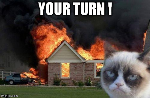 Burn Kitty | YOUR TURN ! | image tagged in burn kitty | made w/ Imgflip meme maker