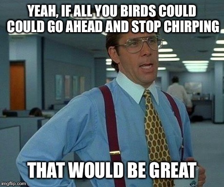 That Would Be Great Meme | YEAH, IF ALL YOU BIRDS COULD COULD GO AHEAD AND STOP CHIRPING THAT WOULD BE GREAT | image tagged in memes,that would be great,AdviceAnimals | made w/ Imgflip meme maker