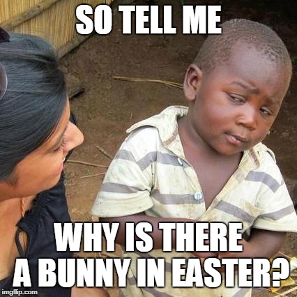 Third World Skeptical Kid Meme | SO TELL ME WHY IS THERE A BUNNY IN EASTER? | image tagged in memes,third world skeptical kid | made w/ Imgflip meme maker