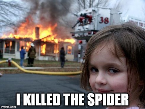 this is me | I KILLED THE SPIDER | image tagged in memes,disaster girl | made w/ Imgflip meme maker