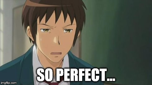 Kyon WTF | SO PERFECT... | image tagged in kyon wtf | made w/ Imgflip meme maker