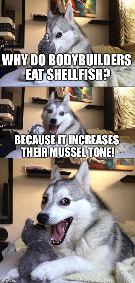 Bad Pun Dog | WHY DO BODYBUILDERS EAT SHELLFISH? BECAUSE IT INCREASES THEIR MUSSEL TONE! | image tagged in memes,bad pun dog | made w/ Imgflip meme maker