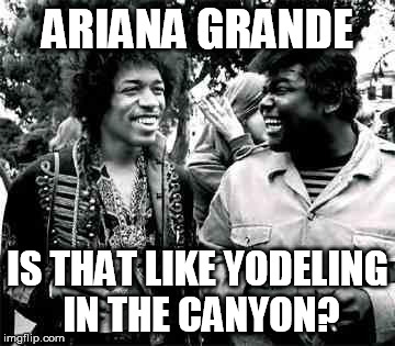hendrix & buddy | ARIANA GRANDE IS THAT LIKE YODELING IN THE CANYON? | image tagged in hendrix  buddy | made w/ Imgflip meme maker