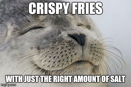 Few things top this on the satisfaction scale | CRISPY FRIES WITH JUST THE RIGHT AMOUNT OF SALT | image tagged in memes,satisfied seal | made w/ Imgflip meme maker