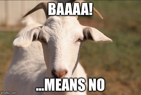 BAAAA! ...MEANS NO | image tagged in goats,sex | made w/ Imgflip meme maker