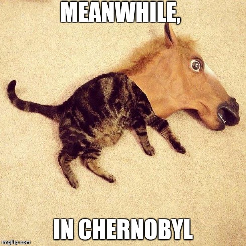 Chernobyl | MEANWHILE, IN CHERNOBYL | image tagged in cat-horse,cat,horse,chernobyl | made w/ Imgflip meme maker