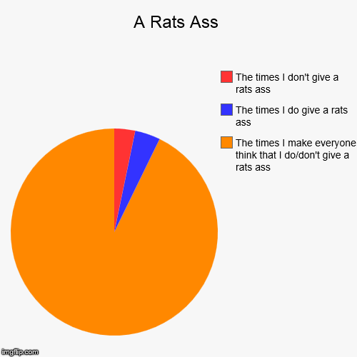 image tagged in funny,pie charts | made w/ Imgflip chart maker