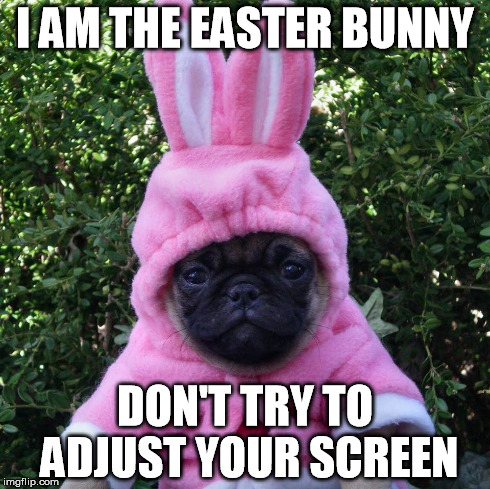 Identity Crisis PUG | I AM THE EASTER BUNNY DON'T TRY TO ADJUST YOUR SCREEN | image tagged in creepy easter bunny,identity crisis | made w/ Imgflip meme maker