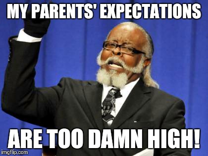 Too Damn High | MY PARENTS' EXPECTATIONS ARE TOO DAMN HIGH! | image tagged in memes,too damn high | made w/ Imgflip meme maker