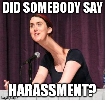 DID SOMEBODY SAY HARASSMENT? | image tagged in briannaneck | made w/ Imgflip meme maker