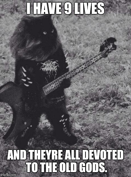 Black Metal Cat | I HAVE 9 LIVES AND THEYRE ALL DEVOTED TO THE OLD GODS. | image tagged in black metal cat | made w/ Imgflip meme maker