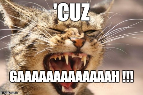 Kerney Thomas Cat | 'CUZ GAAAAAAAAAAAAAH !!! | image tagged in kerney thomas cat,church,angry preacher,false | made w/ Imgflip meme maker