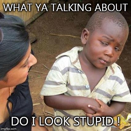 Third World Skeptical Kid | WHAT YA TALKING ABOUT DO I LOOK STUPID ! | image tagged in memes,third world skeptical kid | made w/ Imgflip meme maker