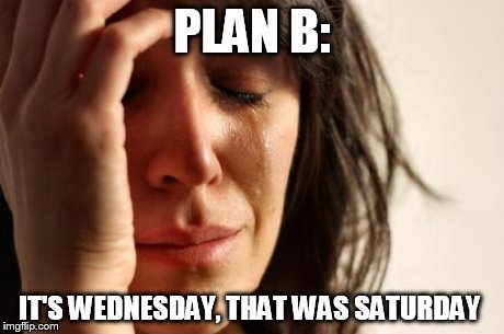 First World Problems | PLAN B: IT'S WEDNESDAY, THAT WAS SATURDAY | image tagged in memes,first world problems | made w/ Imgflip meme maker