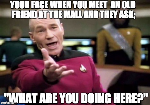 Picard Wtf Meme | YOUR FACE WHEN YOU MEET  AN OLD FRIEND AT THE MALL AND THEY ASK; "WHAT ARE YOU DOING HERE?" | image tagged in memes,picard wtf | made w/ Imgflip meme maker