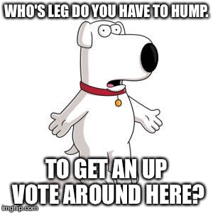 Family Guy Brian Meme | WHO'S LEG DO YOU HAVE TO HUMP. TO GET AN UP VOTE AROUND HERE? | image tagged in memes,family guy brian | made w/ Imgflip meme maker