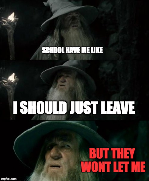 Confused Gandalf Meme | SCHOOL HAVE ME LIKE I SHOULD JUST LEAVE BUT THEY WONT LET ME | image tagged in memes,confused gandalf | made w/ Imgflip meme maker