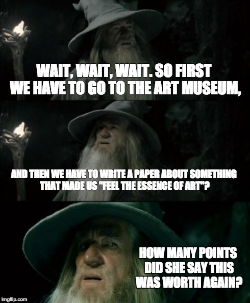 Confused Gandalf | WAIT, WAIT, WAIT. SO FIRST WE HAVE TO GO TO THE ART MUSEUM, AND THEN WE HAVE TO WRITE A PAPER ABOUT SOMETHING THAT MADE US "FEEL THE ESSENCE | image tagged in memes,confused gandalf | made w/ Imgflip meme maker
