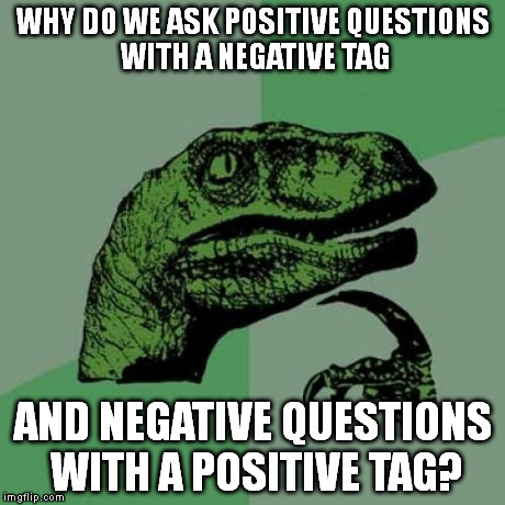 "It's ____, isn't it?" "It's not ____, is it?" | WHY DO WE ASK POSITIVE QUESTIONS WITH A NEGATIVE TAG AND NEGATIVE QUESTIONS WITH A POSITIVE TAG? | image tagged in memes,philosoraptor | made w/ Imgflip meme maker