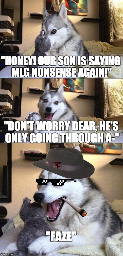 Bad Pun Dog | "HONEY! OUR SON IS SAYING MLG NONSENSE AGAIN!" "DON'T WORRY DEAR, HE'S ONLY GOING THROUGH A-" "FAZE" | image tagged in memes,bad pun dog,mlg,gaming | made w/ Imgflip meme maker